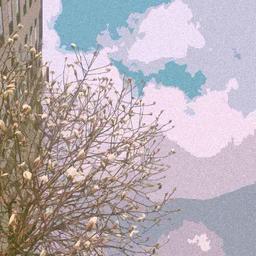 用戶頭像