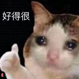 用戶頭像