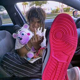 专业摸鱼一百年