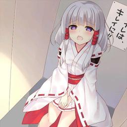 DNPSaber