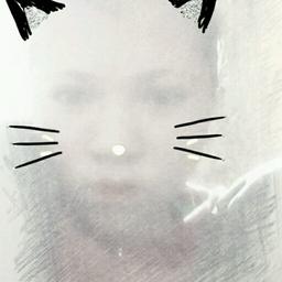 fkfflf