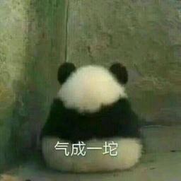一只隐身的小透明，看不见我看不见我