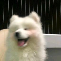 用戶頭像