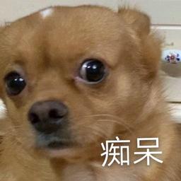 饕餮娘娘