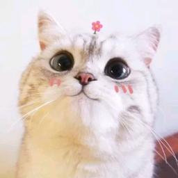 何潔
