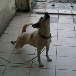 ☞欠揍小子∅☜>_<