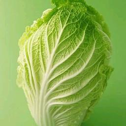 用戶頭像