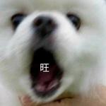 用戶頭像