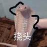 用戶頭像