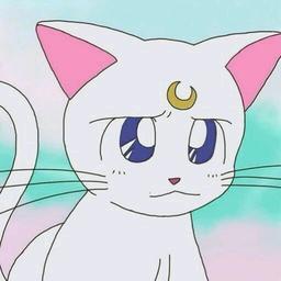 赞怨