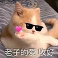 用戶頭像
