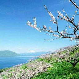 天華