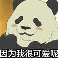 ＊青青子衿＊