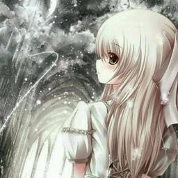 葬爱家族丶纯洁