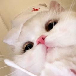 用戶頭像