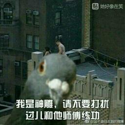 陈旧的书时光的味