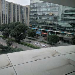 被雨水亲过的小花