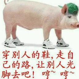大陆音乐人