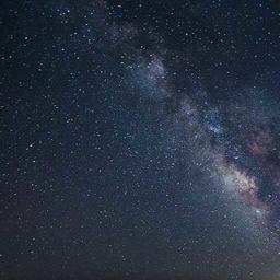 我保证不打死你!!!