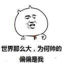 小逗比逗逗