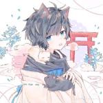没有鱼的猫先生