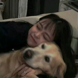 一个网罢了.