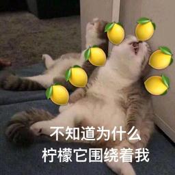 用戶頭像