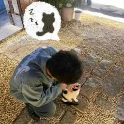 用戶頭像