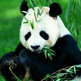 晨曦曙光