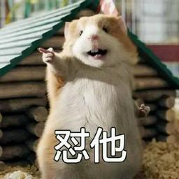 用戶頭像