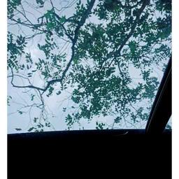 宁~_0807