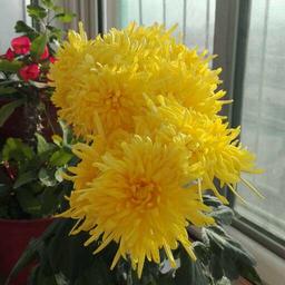 风景这边独好_923