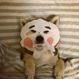 用户头像