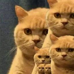 (o゜▽゜)o^.^[BINGO!]