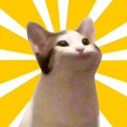 一只程序喵