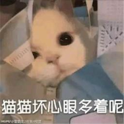 用戶頭像