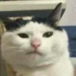 汤圆丸子^.^