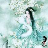 『八卦de箫声』