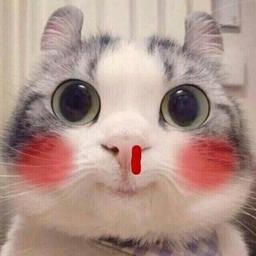 亲吻佳人