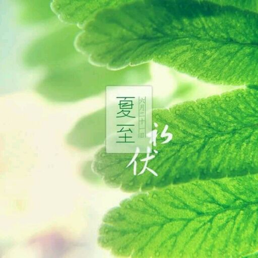一组签名 一组签名
