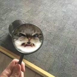 冫甜崽