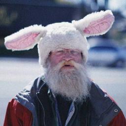 大明湖畔的红蜻蜓