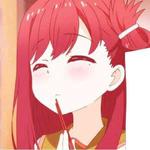 宿红