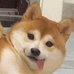 紫幽 niyouself peach yan ronshen