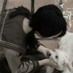 phantom 【幻影】