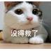 空曠@的回憶