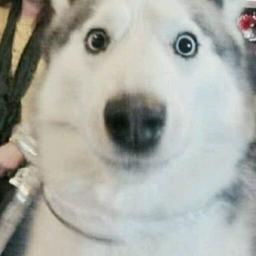 .等价物五毒觉得就是就是手机卡是