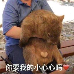 收手吧你