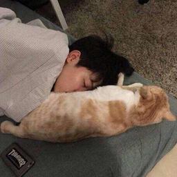 爱国诚信敬业友善